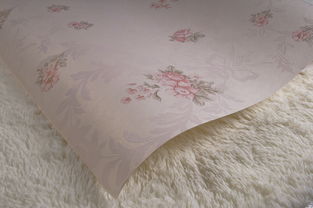 无纺布墙纸 生产、价格与选择指南